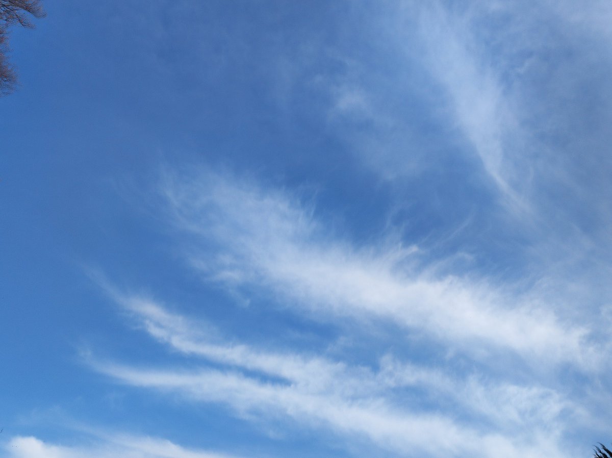 LOlivierFichant's tweet photo. These are not clouds. Not even cirrus clouds. Because Nature does not spray the clouds.
#cirruscloudspsyop #fakeclouds #chemtrails https://t.co/lHN34P97qx