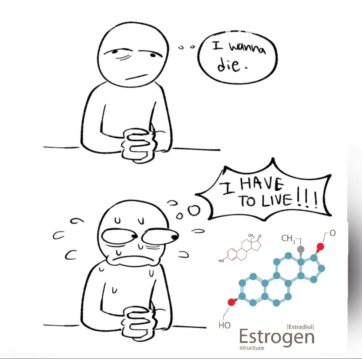 axis8_ow's tweet photo. Estrogen my beloved https://t.co/I3IQnRL0OE