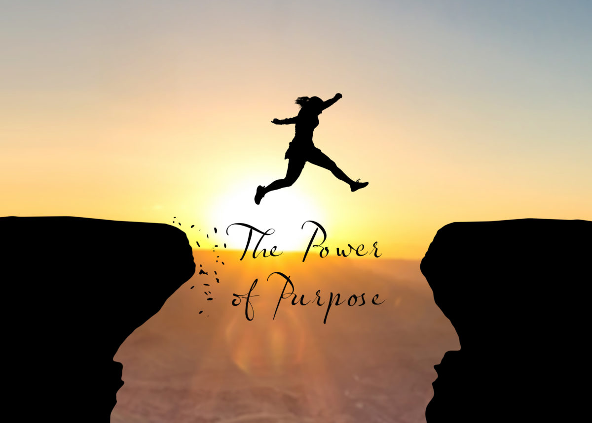 Greg Taylor tweet media