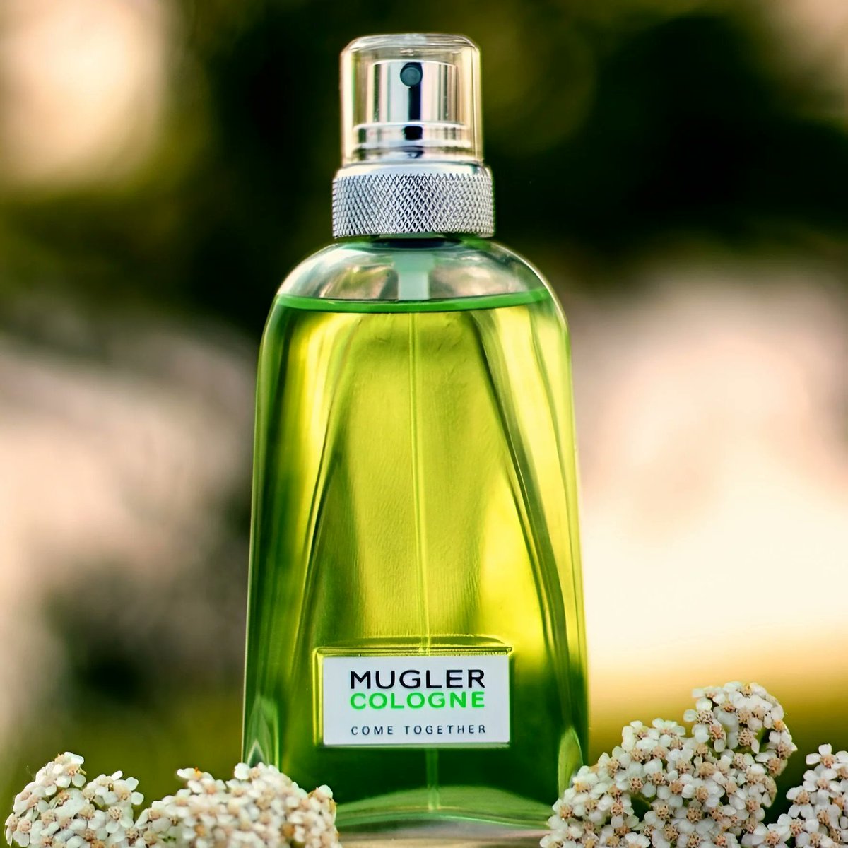 mr__perfumer's tweet photo. The weather is warming up, making it the perfect time to grab a refreshing cologne. One of the top choices is Mugler Cologne, crafted by Alberto Morillas.

Don’t miss out! https://t.co/tehwOQvIIw