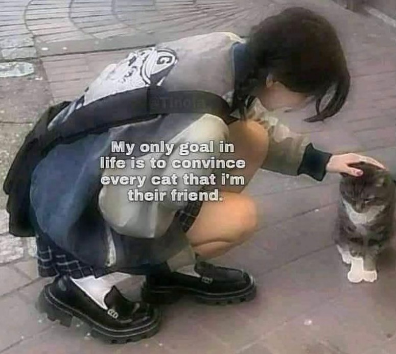 PunchingCat's tweet photo. https://t.co/NRgnUSeRUC