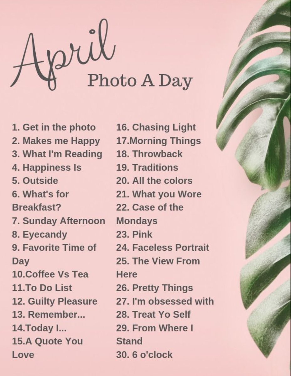 Speldenkussen80's tweet photo. #aprilphotochallenge #dag8 Eye Candy 😍 https://t.co/7QUBvAy8eH