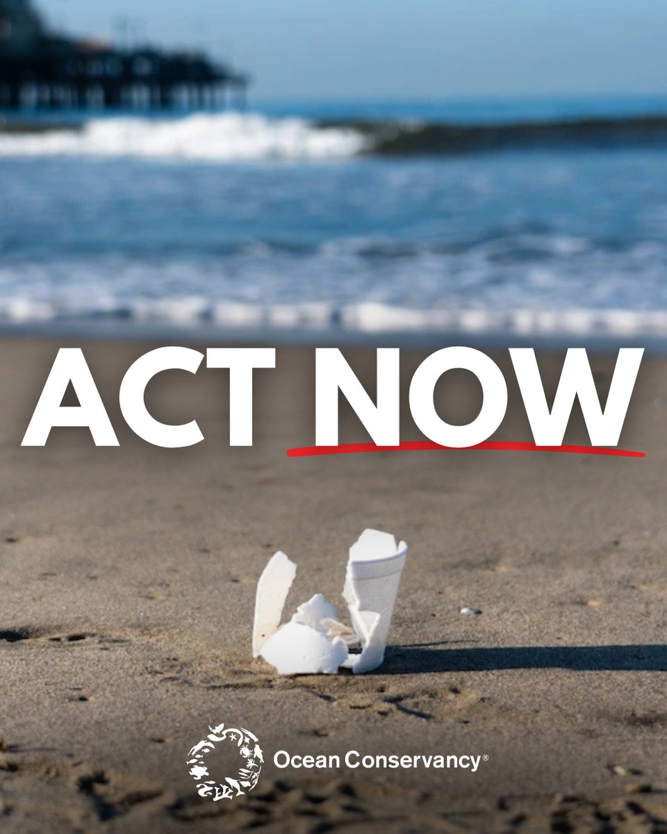 OurOcean's tweet photo. It’s time to say farewell to foam! 👋 

Join us and tell Congress to pass the Farewell to Foam Act and protect our ocean and beaches from harmful plastic foam products.

ACT NOW: https://t.co/kher6xp6UT https://t.co/lMtmXqVyQd