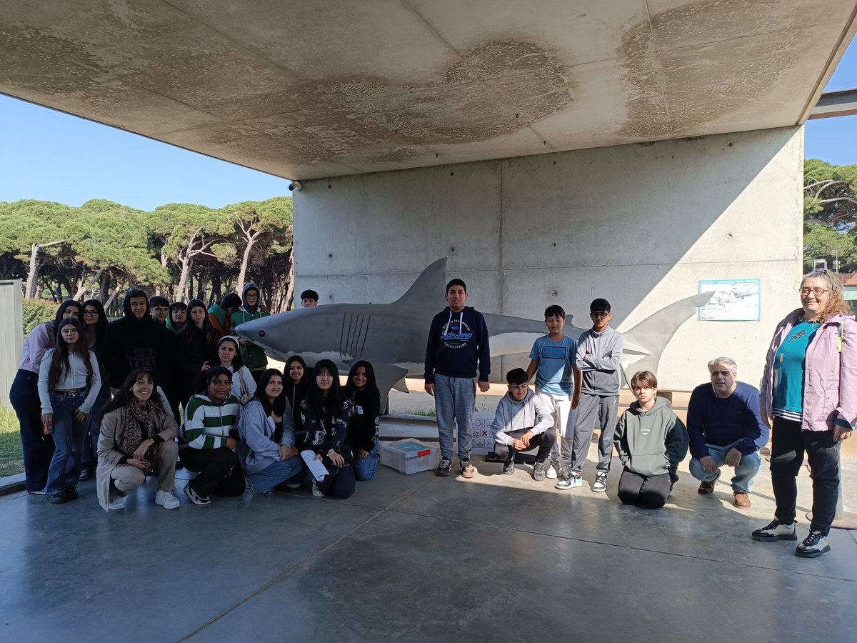 InstitutSants's tweet photo. Avui els alumnes de 2n d'ESO del treball de síntesi ‘El món del peixos’ han visitat el CRAM on han après han fet un tallers sobre finning i han vist tortugues marines recuperant-se. @crampress #treballdesíntesi #2nESO https://t.co/lwFWskKZHC
