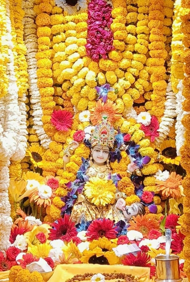 🙏 जय माई की 🙏