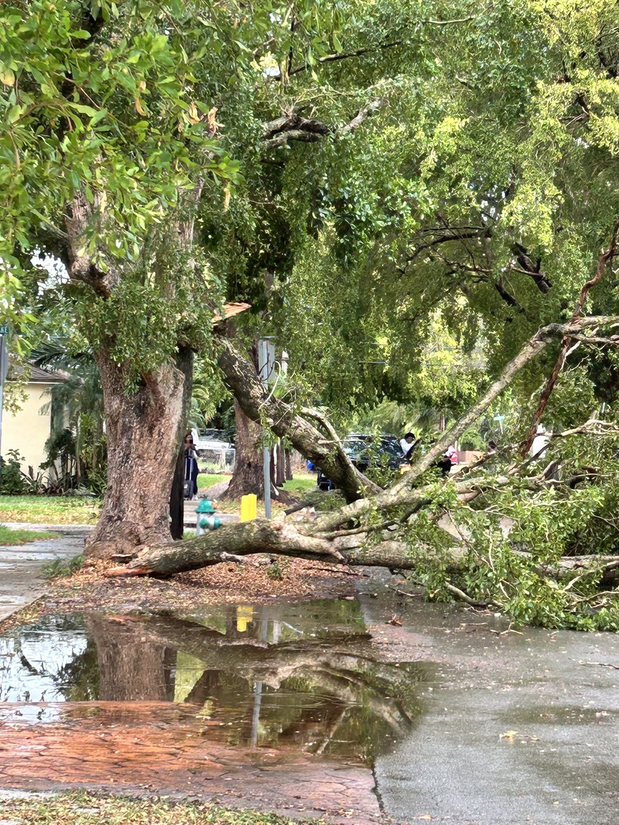_LLIPS's tweet photo. @wsvn Hollywood S. 20th Ave https://t.co/jnvAyMmhjR