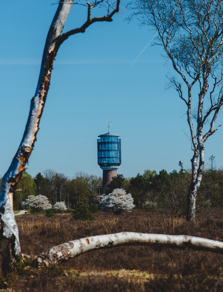 The Glass Tower on the Heath