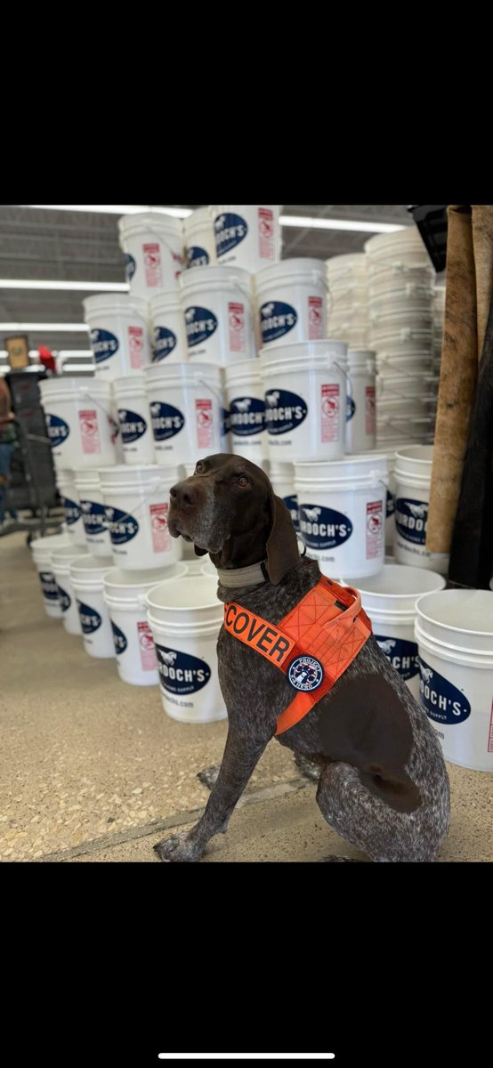 ProjectK9Hero's tweet photo. Proud Partners! ๐ถ
We couldnโt be more grateful for our partnership with @Murdochs Be on the lookout for several Project K-9 Hero and REDD products at your local store!
๐ Find a store near you: https://t.co/Hbjt3qGVx7
#ProjectK9Hero #Murdochs #SupportOurHeroes #REDDFRIDAY https://t.co/Cj5m5lE1zL