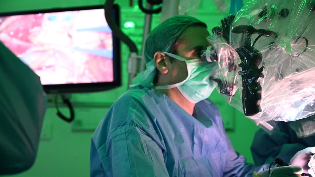 UofL Neurosurgery (@uoflneurosurg) on Twitter photo Happy #WorldNeurosurgeonsDay!
Today, we honor Neurosurgeons around the world while celebrating the birthday of the "Father of Modern Neurosurgery," Dr. Harvey Cushing.
#UofLNeurosurgery #Neurosurgery #Neuro @UofL <a href="/UofLHealth/">UofL Health</a> @UofLMedSchool Happy #WorldNeurosurgeonsDay!
Today, we honor Neurosurgeons around the world while celebrating the birthday of the "Father of Modern Neurosurgery," Dr. Harvey Cushing.
#UofLNeurosurgery #Neurosurgery #Neuro @UofL <a href="/UofLHealth/">UofL Health</a> @UofLMedSchool