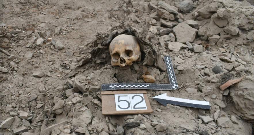 ancientorigins's tweet photo. Archaeologists in Peru’s Atico Valley uncovered a 3,000-year-old mass grave of possible war victims, all of whom were buried with loving care, suggesting they were honored as heroes by their pre-Inca Chuquibamba community.
https://t.co/Qj4fra5aSx
#PreInca #AncientPeru #Peru #Chuquibamba #AncientMassacres #AncientCivilizations #SouthAmerica