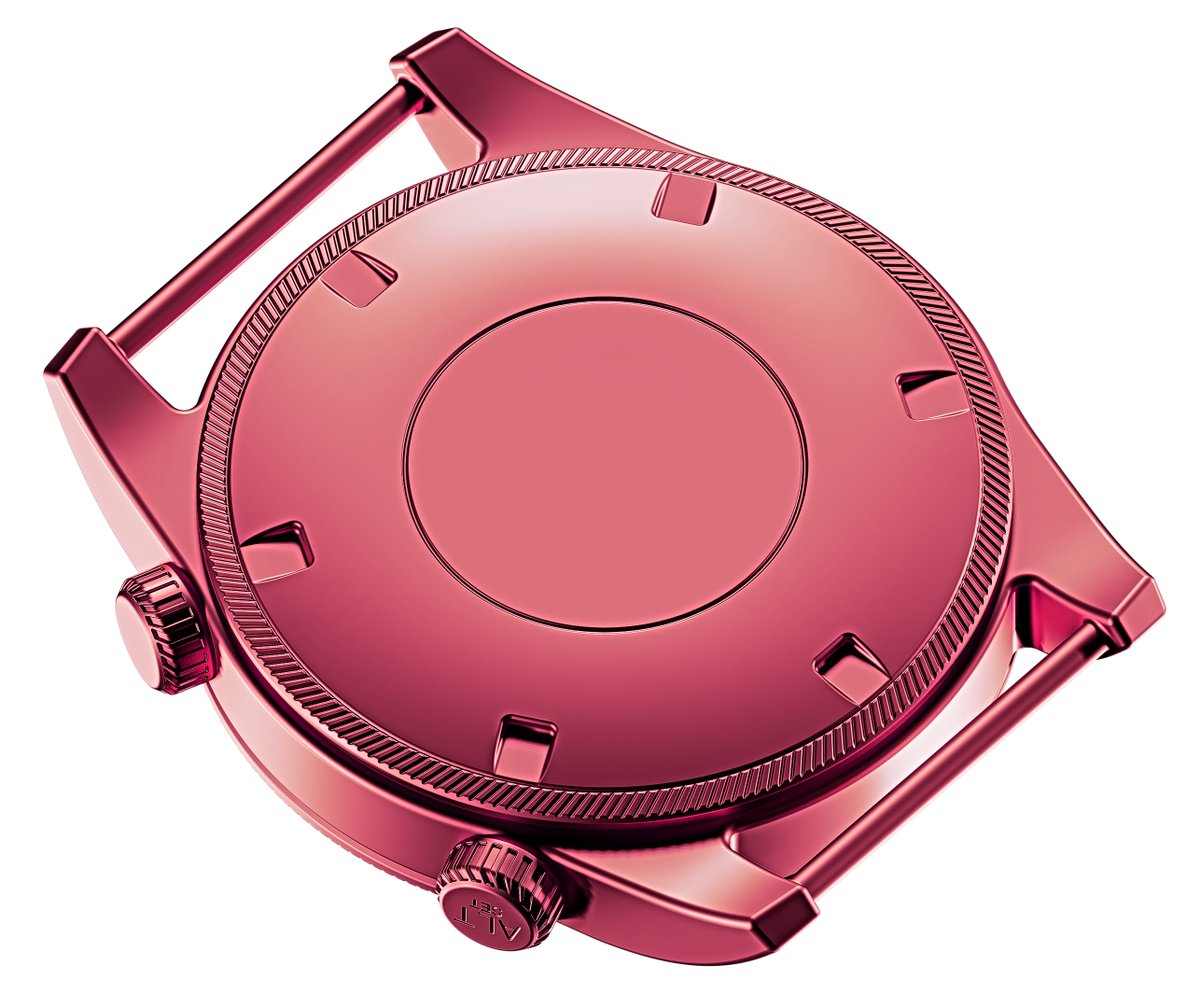 Watch body made in plasticity