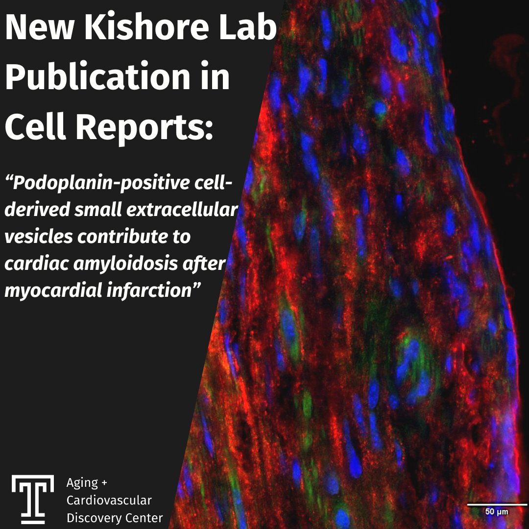 Fresh off the presses – a new Kishore Lab manuscript is out now in Cell Reports! 

Read it here: cell.com/cell-reports/f…