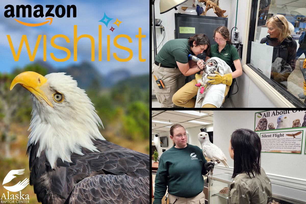 RaptorOrg's tweet image. Want to make a real difference for birds in need? One of the easiest ways to help is by shopping the Alaska Raptor Center's Amazon Wish List!  #WildlifeConservation #HelpingOthers #GoodCause
amazon.com/.../3TL9B7.../…