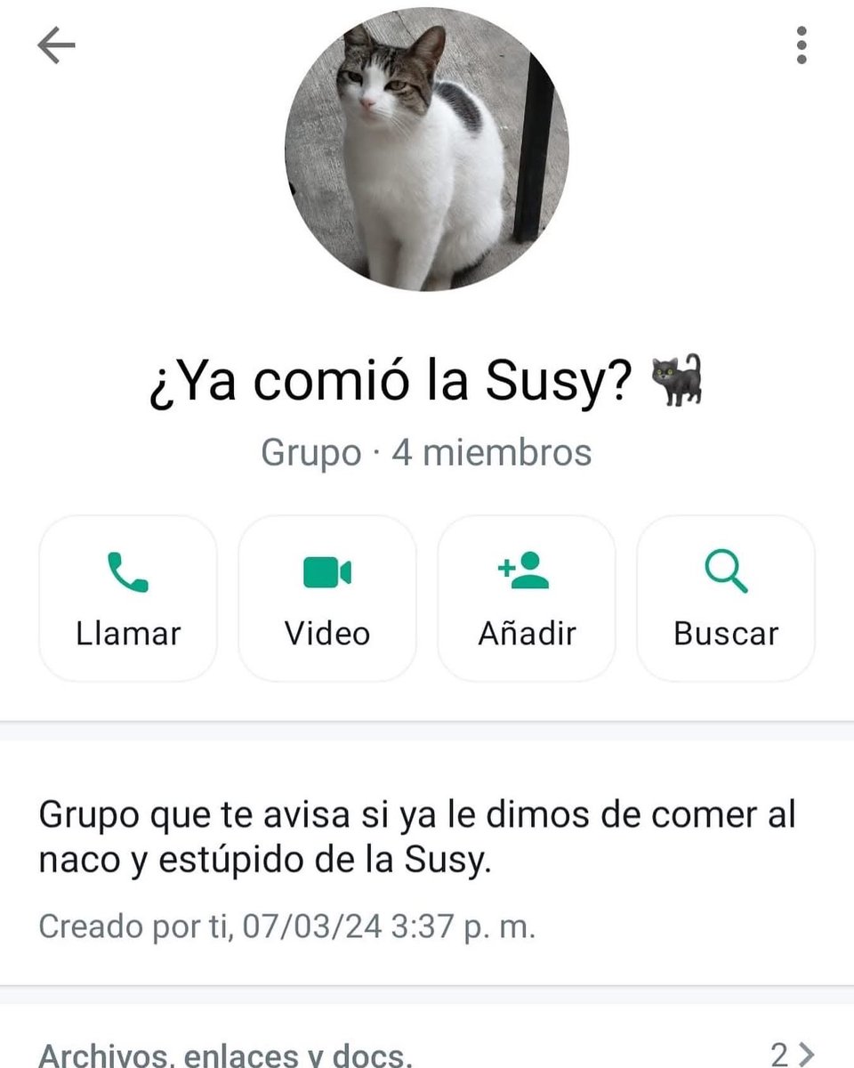 Dilo con gatitoz tweet media