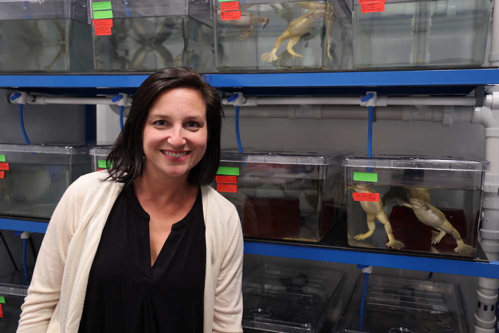 Chan Zuckerberg Biohub Network (@czbiohub) on Twitter photo 🐸 Using frogs as a model organism, #CZBiohubSF Investigator Helen Willsey / <a href="/goodfrognosis/">Helen Willsey</a> is revealing surprising connections between #autism and hair-like structures, called cilia, on the surface of our cells.
Learn more👇
czi.co/44f88Eu 🐸 Using frogs as a model organism, #CZBiohubSF Investigator Helen Willsey / <a href="/goodfrognosis/">Helen Willsey</a> is revealing surprising connections between #autism and hair-like structures, called cilia, on the surface of our cells.
Learn more👇
czi.co/44f88Eu