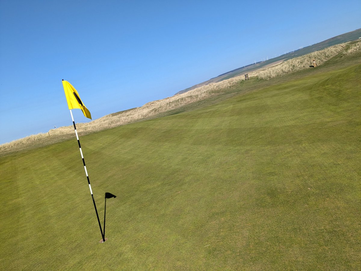 Spring has sprung <a href="/MachDunes/">Machrihanish Dunes</a>