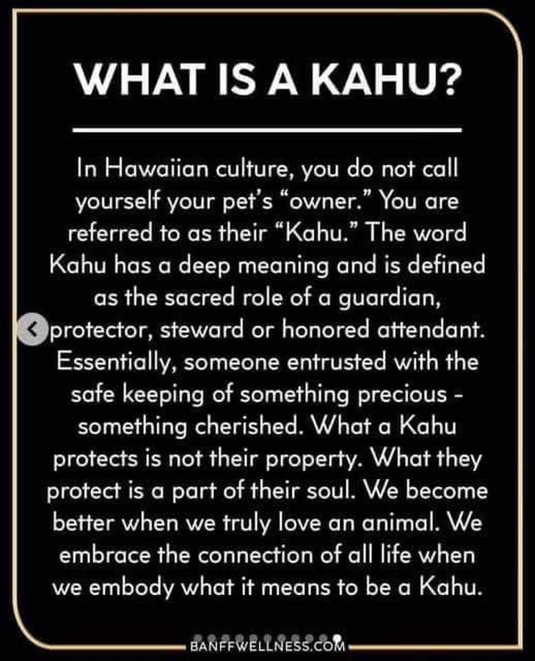 Desiree  Marie Velez (@desireevelez10) on Twitter photo 