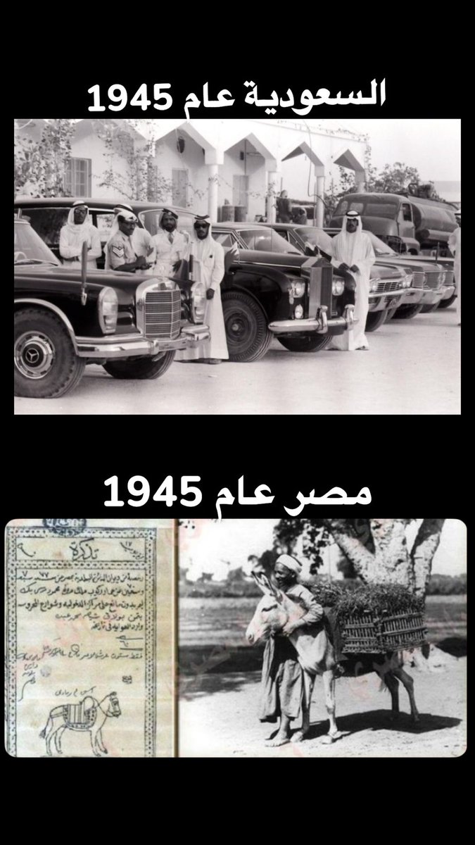 كان السعودي يركب المرسيدس 
والمصري يركب حمار برخصة