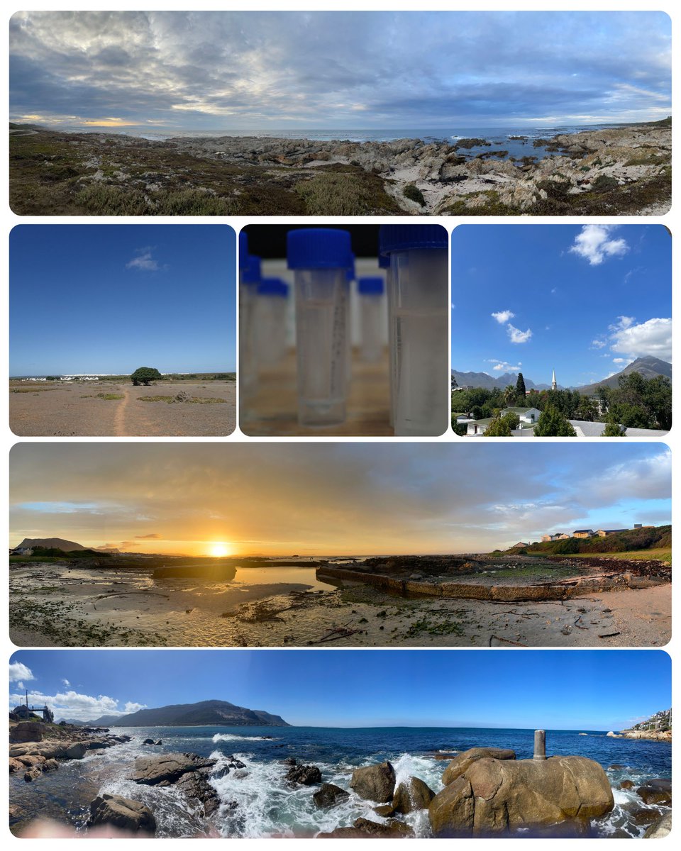 Emma Palacios Theil tweet media