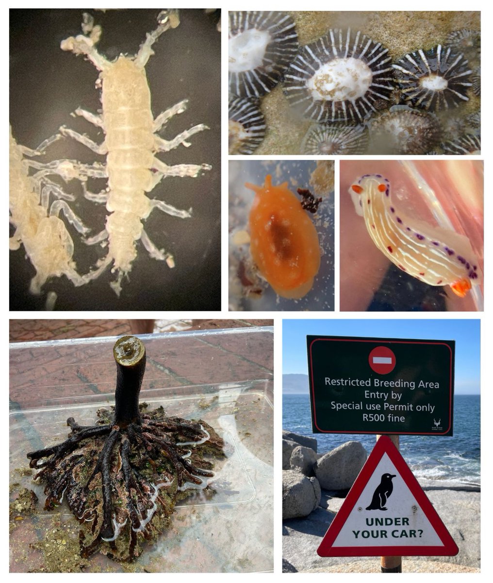 Emma Palacios Theil tweet media