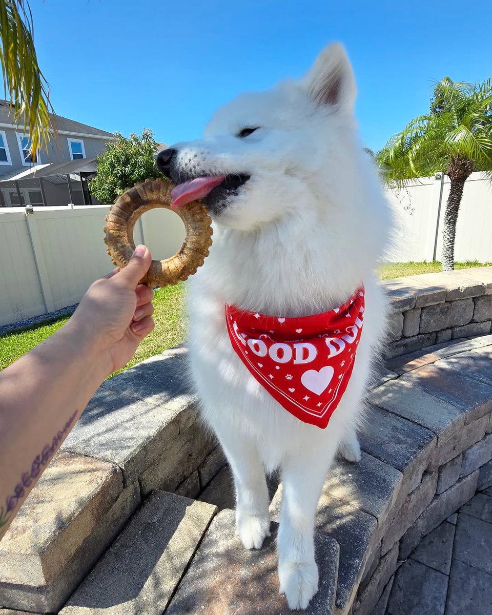 Redbarn Pet Products tweet media