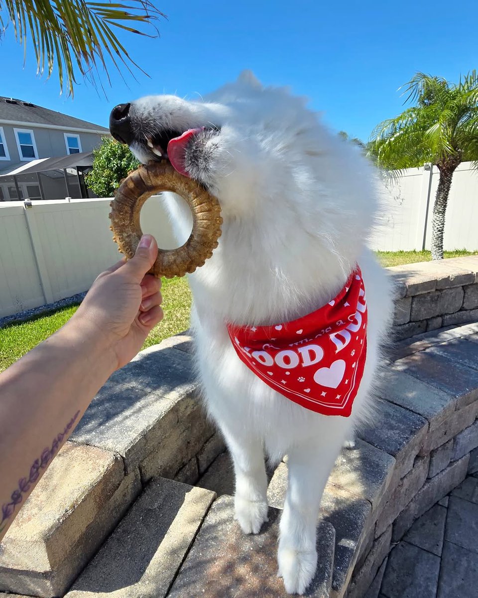 Redbarn Pet Products tweet media