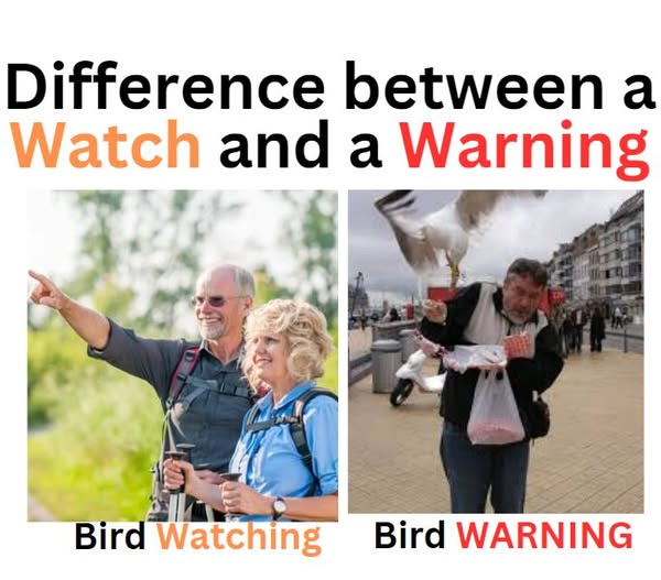 Taco Tuesday Warning: