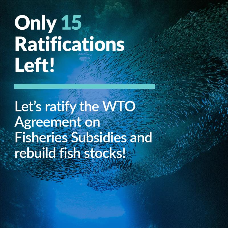 LizKaran tweet media