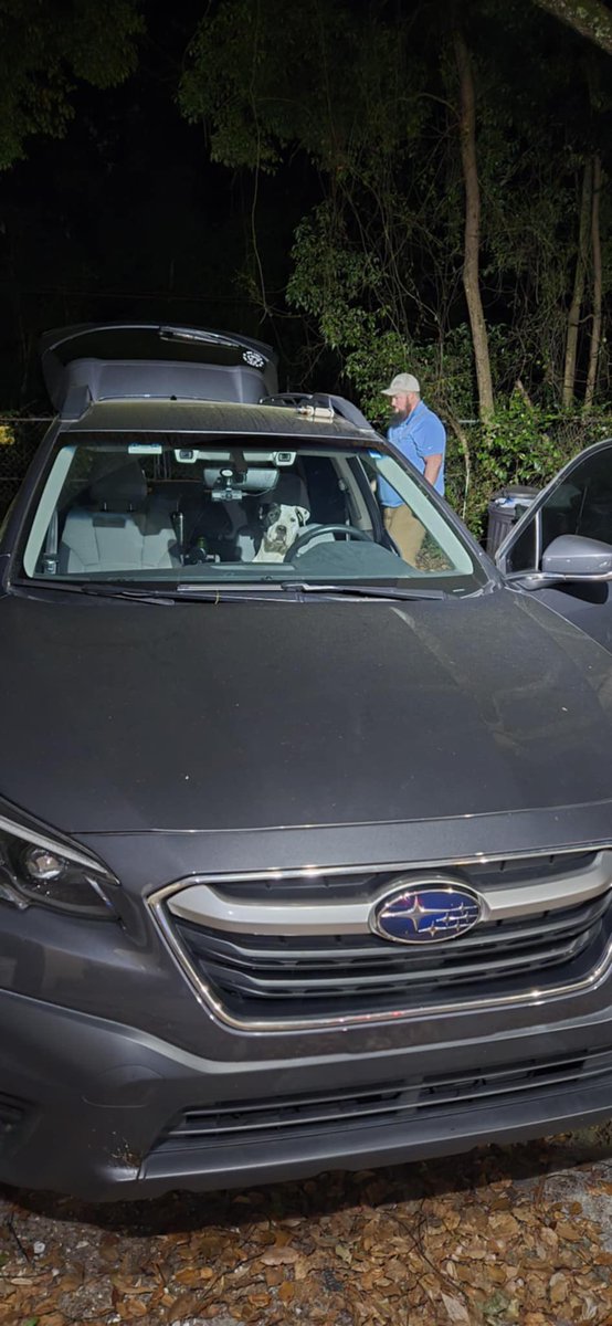 Bastet_0513's tweet photo. Sully is driving now. 
@subaru_usa 
#SUBARU #outback #dog https://t.co/SmXZnuW04s