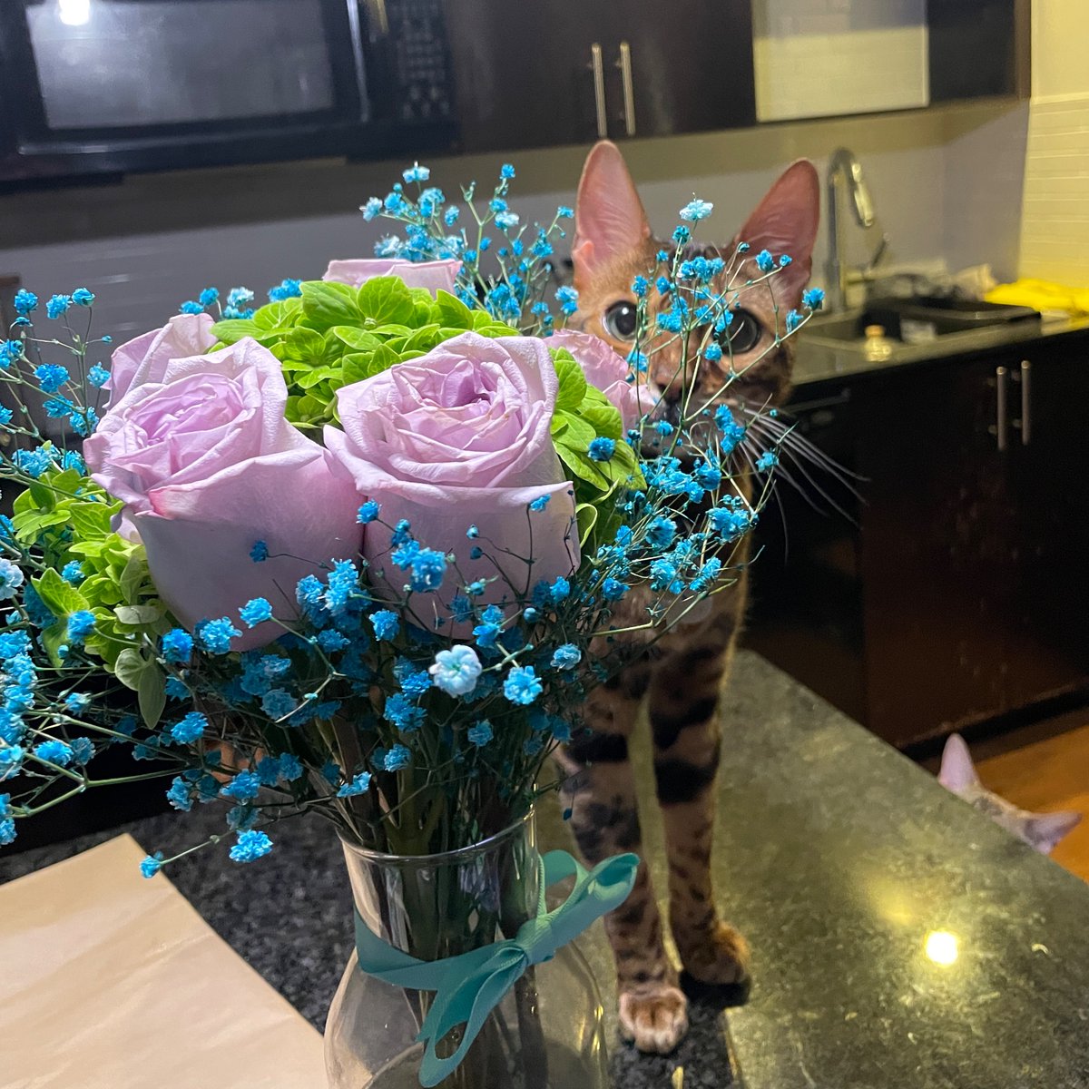 crossingtxt's tweet photo. Flowers on Sunday and AGAIN on Monday? Bro I need more vases 😭 https://t.co/NUEvPFZiO3