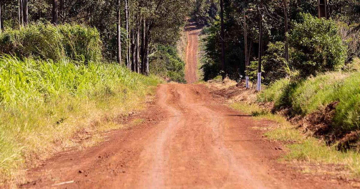 Planetemarcus tweet media