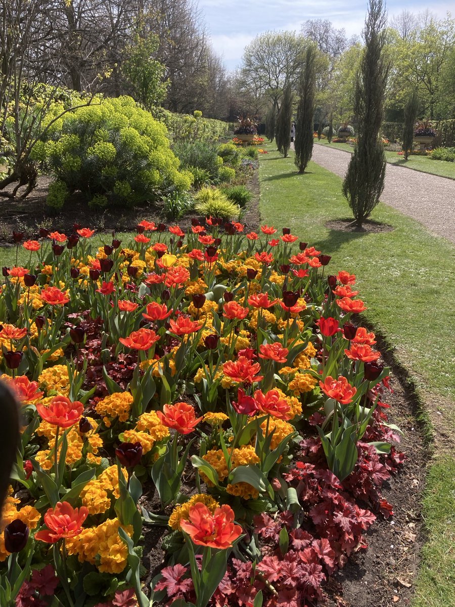 The Avenue Gardens, #TheRegent’sPark ⁦<a href="/theroyalparks/">The Royal Parks</a>⁩ ⁦@TRPGuild7⁩ ⁦<a href="/idverdeUK/">idverde UK</a>⁩ #FriendsofRegent’sPark #Nesfield