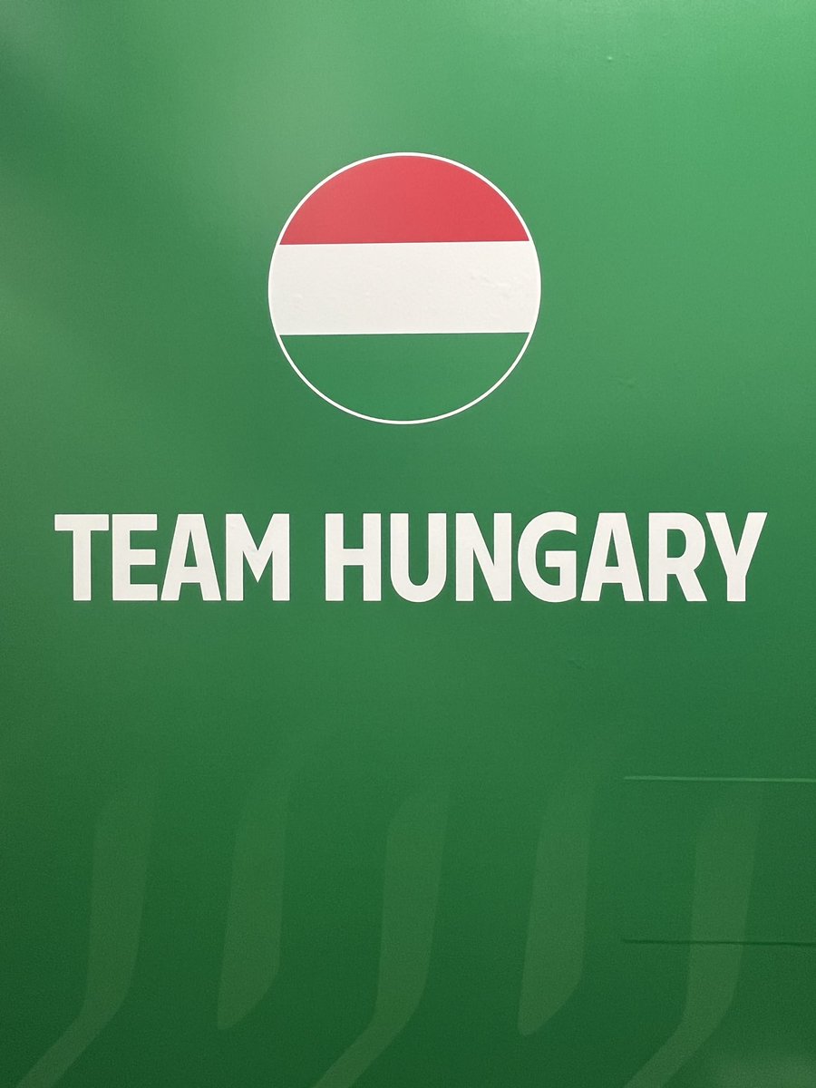 Delaney Collins tweet media