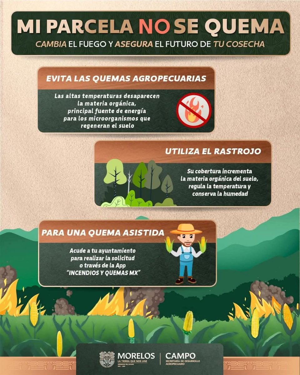 🟩 ¡Únete a la campaña “Mi parcela no se quema”! 🔥🚫

Hoy tenemos alternativas sostenibles como el manejo integrado de residuos y la labranza de conservación, no solo protegen tu tierra, sino que también mejoran la productividad a largo plazo. 

#LaTierraQueNosUne