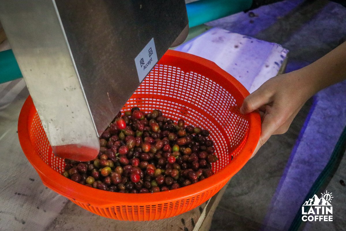 Coffee Media tweet media