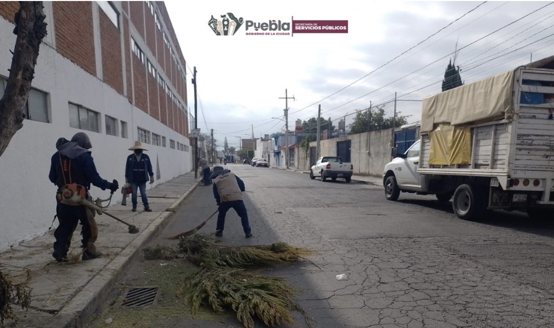 Servicios_Pub's tweet photo. En la calle Aquiles Serdán, Col. Lomas del Sur, no paramos 😁🙋🏻‍♂️

¡le dimos con poda y chapeo que ya hacía falta! 💪🌿

 ¡Así seguimos construyendo #LaCapitalImparable🪽, con esfuerzo y mucho amor por la ciudad! ✂️✨ https://t.co/gsU5rsvoWm
