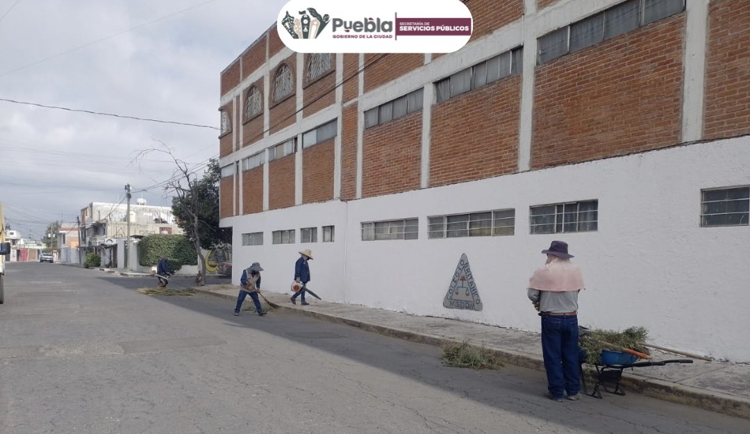 Servicios_Pub's tweet photo. En la calle Aquiles Serdán, Col. Lomas del Sur, no paramos 😁🙋🏻‍♂️

¡le dimos con poda y chapeo que ya hacía falta! 💪🌿

 ¡Así seguimos construyendo #LaCapitalImparable🪽, con esfuerzo y mucho amor por la ciudad! ✂️✨ https://t.co/gsU5rsvoWm