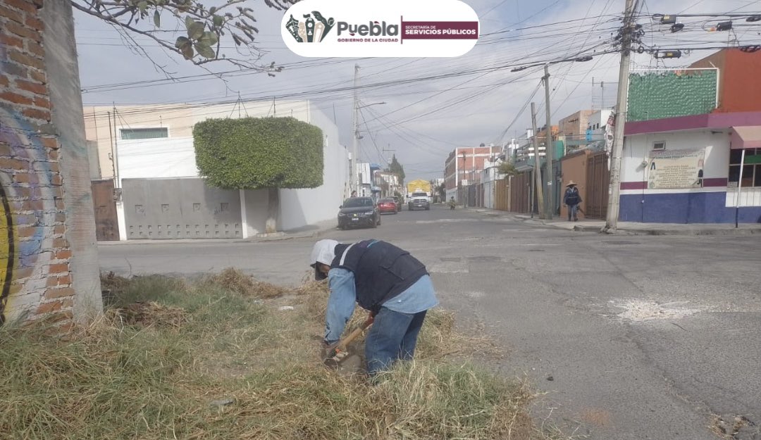 Servicios_Pub's tweet photo. En la calle Aquiles Serdán, Col. Lomas del Sur, no paramos 😁🙋🏻‍♂️

¡le dimos con poda y chapeo que ya hacía falta! 💪🌿

 ¡Así seguimos construyendo #LaCapitalImparable🪽, con esfuerzo y mucho amor por la ciudad! ✂️✨ https://t.co/gsU5rsvoWm