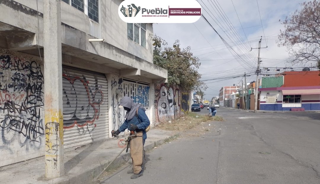 Servicios_Pub's tweet photo. En la calle Aquiles Serdán, Col. Lomas del Sur, no paramos 😁🙋🏻‍♂️

¡le dimos con poda y chapeo que ya hacía falta! 💪🌿

 ¡Así seguimos construyendo #LaCapitalImparable🪽, con esfuerzo y mucho amor por la ciudad! ✂️✨ https://t.co/gsU5rsvoWm