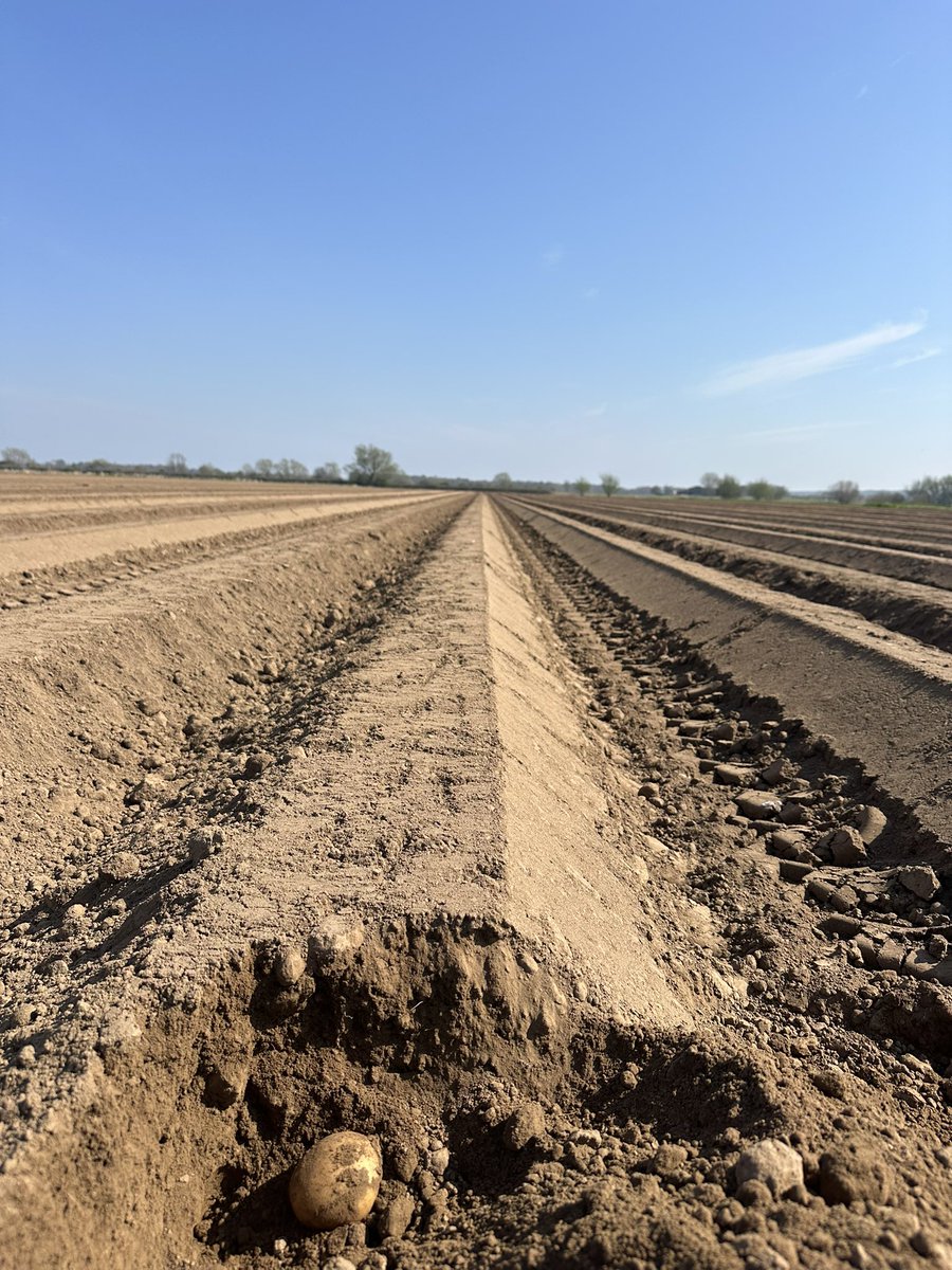 Holly Turner tweet media