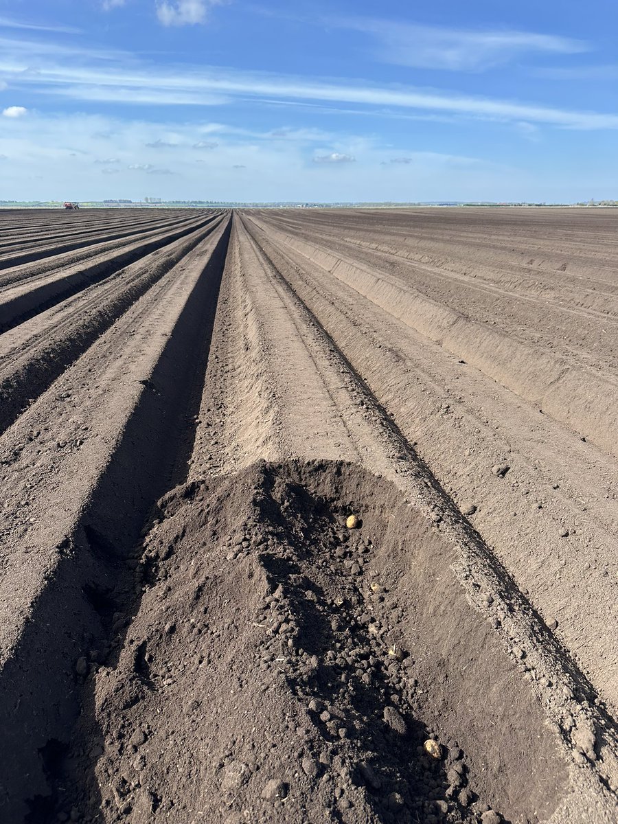 Holly Turner tweet media