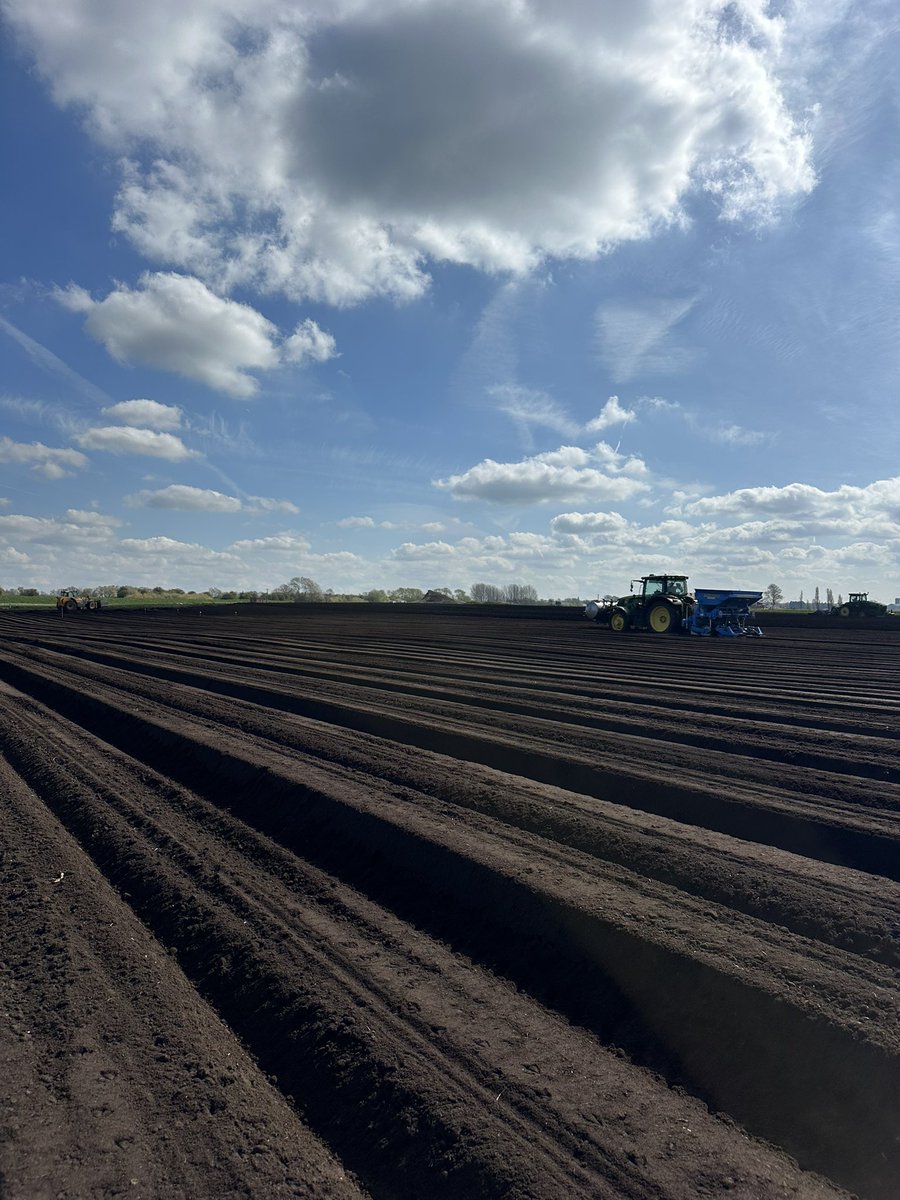 Holly Turner tweet media