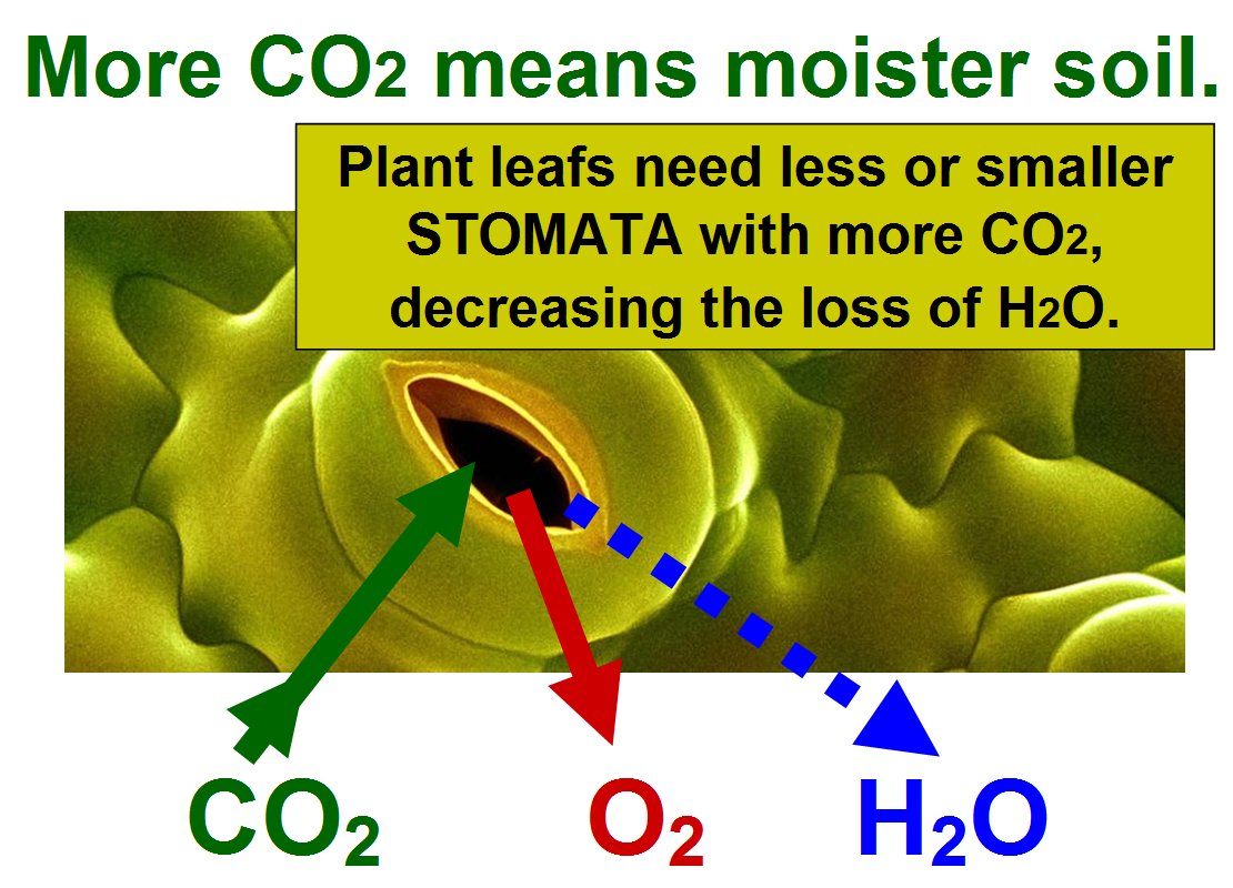 John Shewchuk tweet media