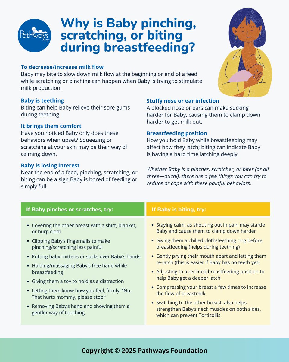 While it can be uncomfortable, pinching, scratching or biting is very common for babies to do! Read our full article on therapist-approved ways to reduce discomfort while #breastfeeding: 
pathways.org/what-to-do-if-…