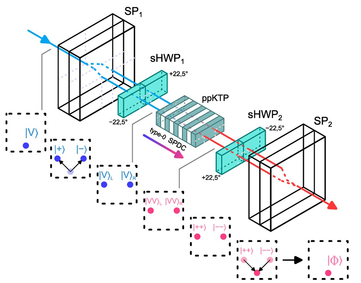 ICFOnians's tweet photo. 📑Researchers from #ICFO & partners of the #QUDICE introduce SPaDEs, as a novel architecture for a polarization-entangled photon source (EPS), important from quantum communications in space!!
Study in @aplphotonics
+info ➡️ https://t.co/WVuDphPbDi https://t.co/MBGoGW0usY