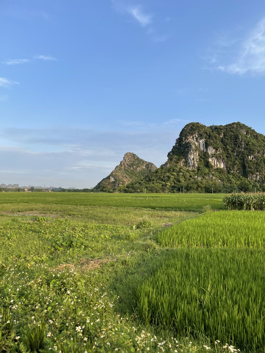 linglengg_bc's tweet image. Through every journey, I’ve realized how much I love green—the endless fields, the green rolling hills and yes, the market too. 🌿📈😂 
Charts rise and fall, but let’s keep our planet forever green. Keep it clean, keep it green! 💚 @BuildOnCyber #KeepItGreen