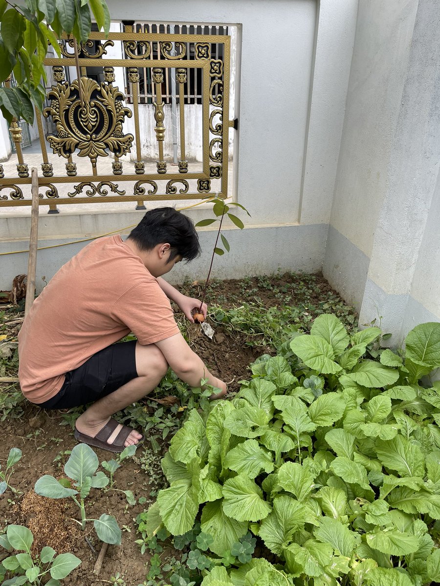 linglengg_bc's tweet image. Through every journey, I’ve realized how much I love green—the endless fields, the green rolling hills and yes, the market too. 🌿📈😂 
Charts rise and fall, but let’s keep our planet forever green. Keep it clean, keep it green! 💚 @BuildOnCyber #KeepItGreen