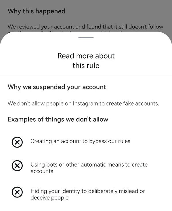 paldipaldi | Faldian Irfandi tweet media