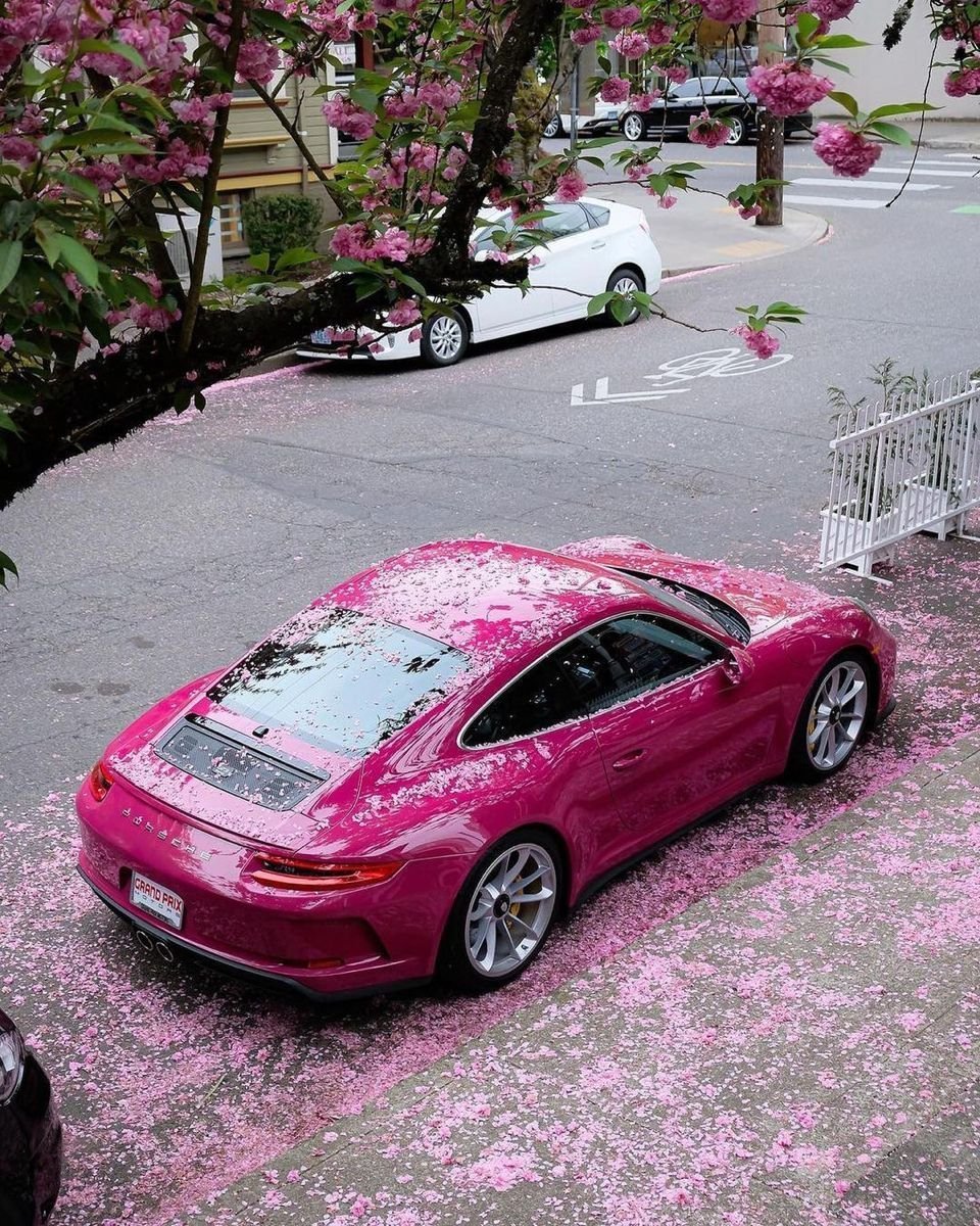 heart_jpg's tweet photo. pink porsche https://t.co/yhhywocdZg