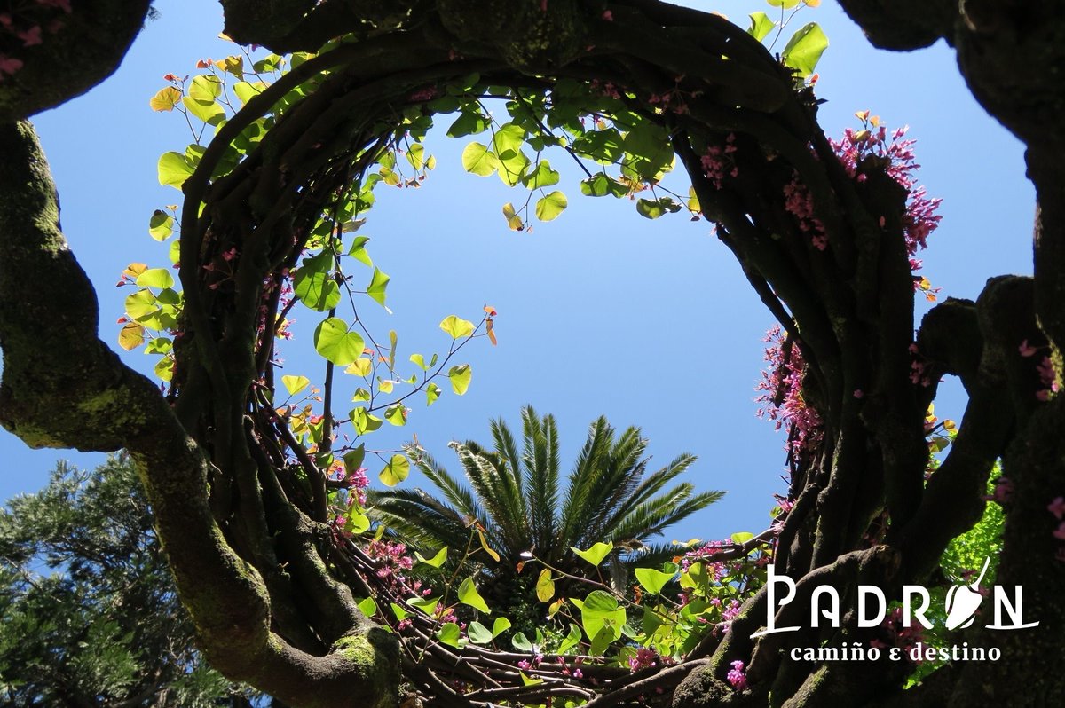 Padrón Turismo tweet media